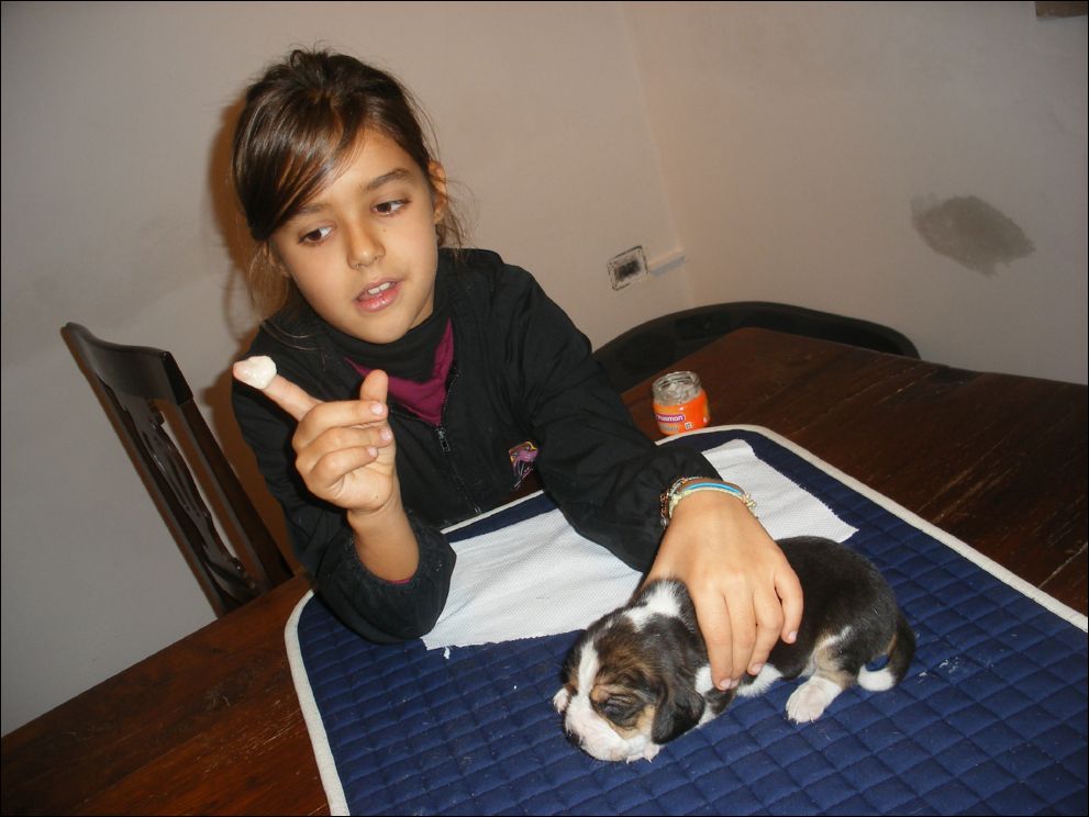 cuccioli amelie-37